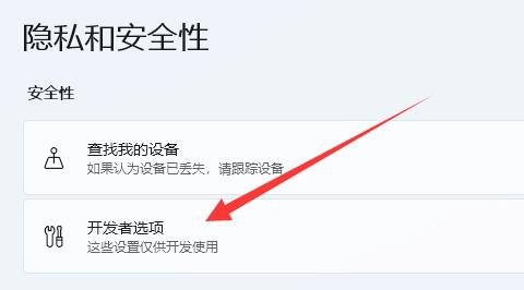 Win11如何开启开发者模式